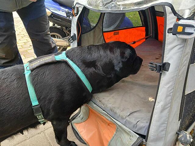 Klicke auf die Grafik für eine vergrößerte Ansicht  Name: c3cfa997-f236-4f22-a8e2-935cf032fe9c.jpg Ansichten: 0 Größe: 138,5 KB ID: 1193587