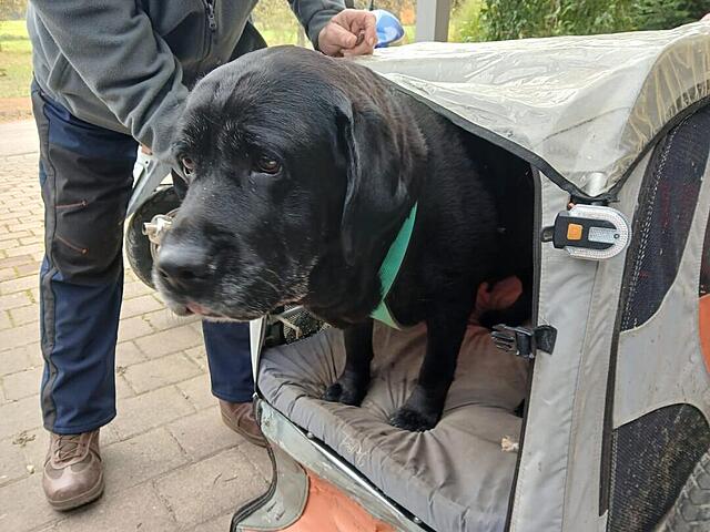 Klicke auf die Grafik für eine vergrößerte Ansicht  Name: fb286171-a7ff-4cf7-86ca-4d2ede885ce0.jpg Ansichten: 0 Größe: 108,9 KB ID: 1193588