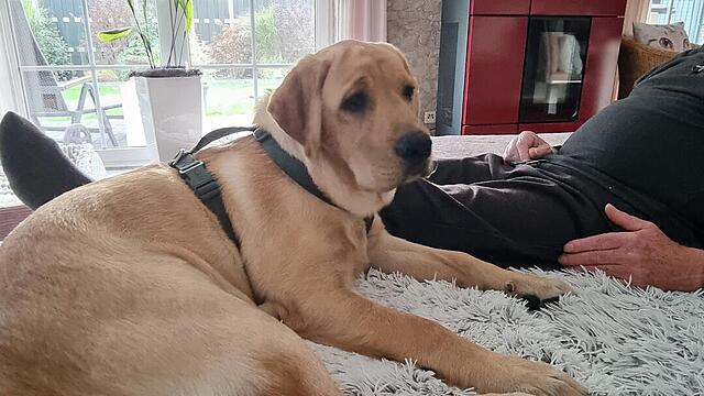 Klicke auf die Grafik für eine vergrößerte Ansicht  Name: 8abe6148-5ae0-4ba7-b8d8-5cccdf30ad9f.jpg Ansichten: 0 Größe: 90,7 KB ID: 1193593