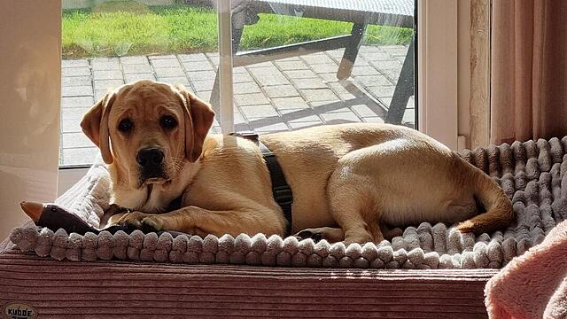 Klicke auf die Grafik für eine vergrößerte Ansicht  Name: c9c0f4f0-2edc-4247-9f00-55d19e90ca23.jpg Ansichten: 0 Größe: 112,0 KB ID: 1193594