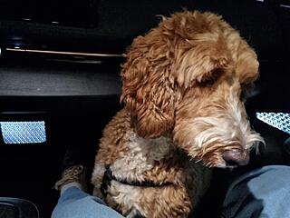 Klicke auf die Grafik für eine vergrößerte Ansicht  Name: 20251101_192209.jpg Ansichten: 0 Größe: 78,9 KB ID: 1193625