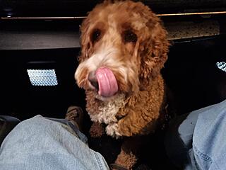 Klicke auf die Grafik für eine vergrößerte Ansicht  Name: 20251101_175851.jpg Ansichten: 0 Größe: 77,8 KB ID: 1193626