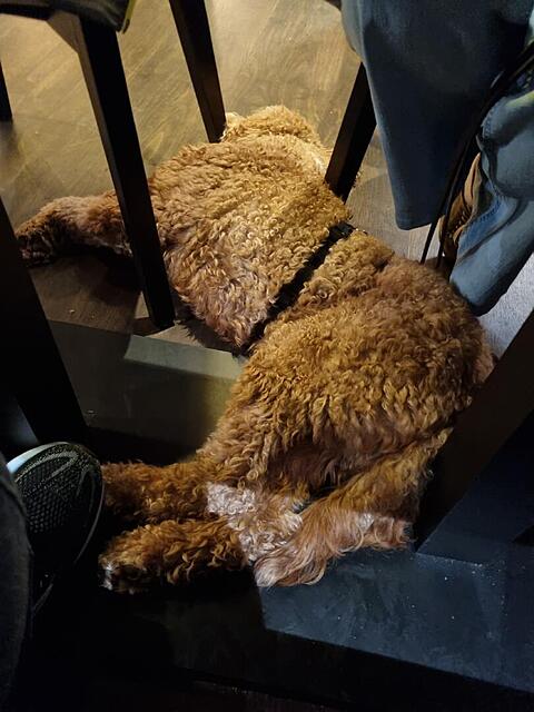 Klicke auf die Grafik für eine vergrößerte Ansicht  Name: 20251101_191656.jpg Ansichten: 0 Größe: 91,8 KB ID: 1193628