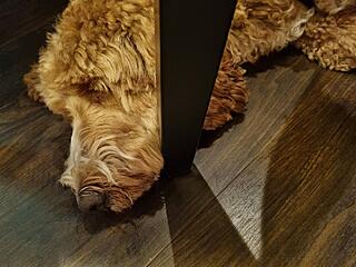 Klicke auf die Grafik für eine vergrößerte Ansicht  Name: 20251101_191430.jpg Ansichten: 0 Größe: 116,4 KB ID: 1193629