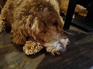 Klicke auf die Grafik für eine vergrößerte Ansicht  Name: 20251101_190850(1).jpg Ansichten: 0 Größe: 96,6 KB ID: 1193630