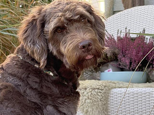 Klicke auf die Grafik für eine vergrößerte Ansicht  Name: IMG_8799.jpg Ansichten: 0 Größe: 141,8 KB ID: 1193753