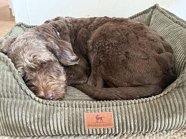 Klicke auf die Grafik für eine vergrößerte Ansicht  Name: IMG_8566.jpg Ansichten: 0 Größe: 201,2 KB ID: 1193757