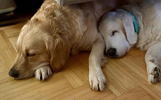 Klicke auf die Grafik für eine vergrößerte Ansicht

Name: IMG_0814.jpg
Ansichten: 0
Größe: 78,0 KB
ID: 1194408