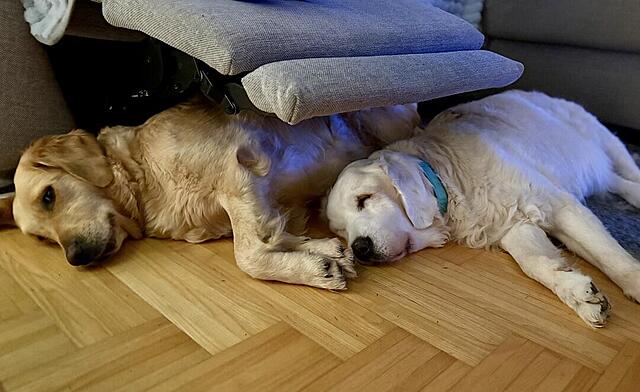 Klicke auf die Grafik für eine vergrößerte Ansicht

Name: IMG_9085.jpg
Ansichten: 0
Größe: 91,4 KB
ID: 1194409