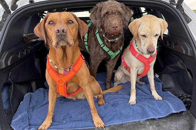 Klicke auf die Grafik für eine vergrößerte Ansicht  Name: IMG_8557.jpg Ansichten: 0 Größe: 125,5 KB ID: 1194517