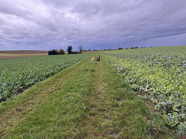 Klicke auf die Grafik für eine vergrößerte Ansicht  Name: IMG_8616.jpg Ansichten: 0 Größe: 202,1 KB ID: 1194518