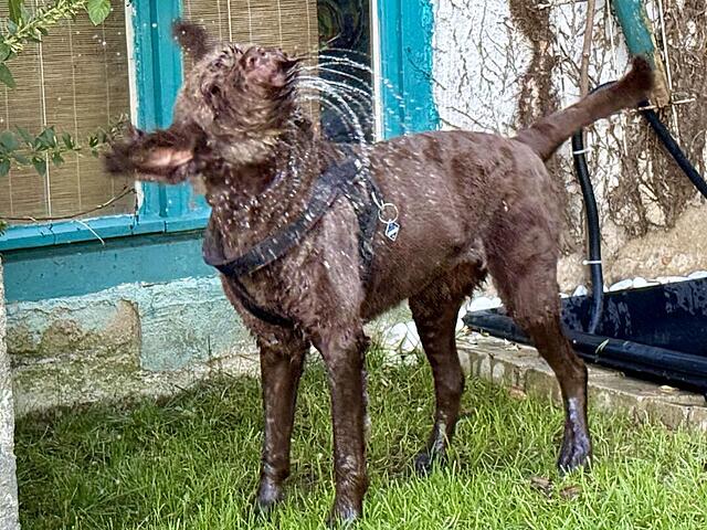 Klicke auf die Grafik für eine vergrößerte Ansicht  Name: Lia16.jpg Ansichten: 0 Größe: 179,8 KB ID: 1194519