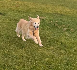 Klicke auf die Grafik für eine vergrößerte Ansicht  Name: b7ef9164-293a-442b-8459-0a1cad7f0c1f.jpg Ansichten: 0 Größe: 127,0 KB ID: 1194643