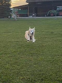 Klicke auf die Grafik für eine vergrößerte Ansicht  Name: e252c991-093a-4a67-a0ec-5e4c691b3e9d (1).jpg Ansichten: 0 Größe: 120,8 KB ID: 1194644