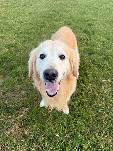 Klicke auf die Grafik für eine vergrößerte Ansicht  Name: ee1a65ae-14c3-4b16-8086-5f9452f44db8.jpg Ansichten: 0 Größe: 152,4 KB ID: 1194645