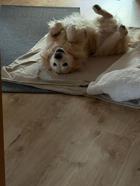 Klicke auf die Grafik für eine vergrößerte Ansicht  Name: e3e1c4ba-9d22-4ed9-8209-be792adeb20b.jpg Ansichten: 0 Größe: 69,9 KB ID: 1194646