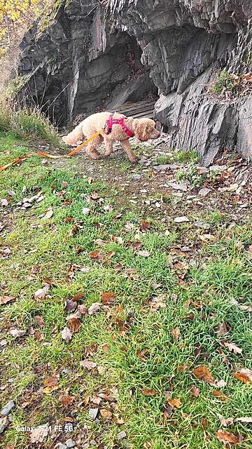 Klicke auf die Grafik für eine vergrößerte Ansicht  Name: IMG-20251110-WA0006.jpg Ansichten: 0 Größe: 255,1 KB ID: 1194869