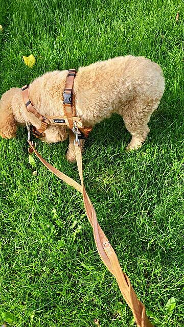 Klicke auf die Grafik für eine vergrößerte Ansicht  Name: IMG-20251102-WA0011.jpg Ansichten: 0 Größe: 242,4 KB ID: 1194870