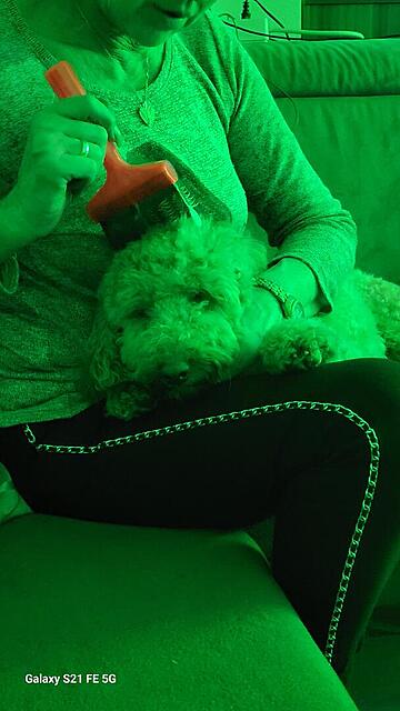 Klicke auf die Grafik für eine vergrößerte Ansicht

Name: 20251111_184859.jpg
Ansichten: 0
Größe: 72,4 KB
ID: 1194941