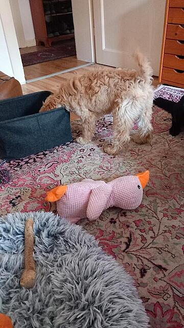 Klicke auf die Grafik für eine vergrößerte Ansicht  Name: 20251111_104904.jpg Ansichten: 0 Größe: 117,1 KB ID: 1194947