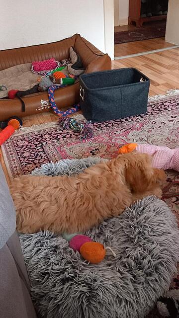 Klicke auf die Grafik für eine vergrößerte Ansicht  Name: 20251111_104926.jpg Ansichten: 0 Größe: 110,3 KB ID: 1194948