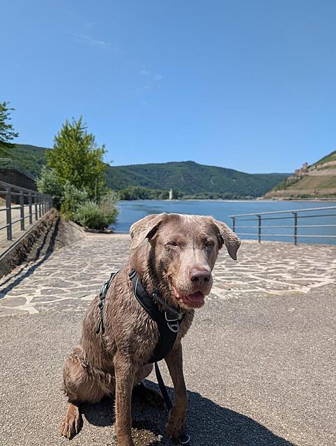 Klicke auf die Grafik für eine vergrößerte Ansicht  Name: Hayley2 #1738.jpg Ansichten: 0 Größe: 61,9 KB ID: 1194971