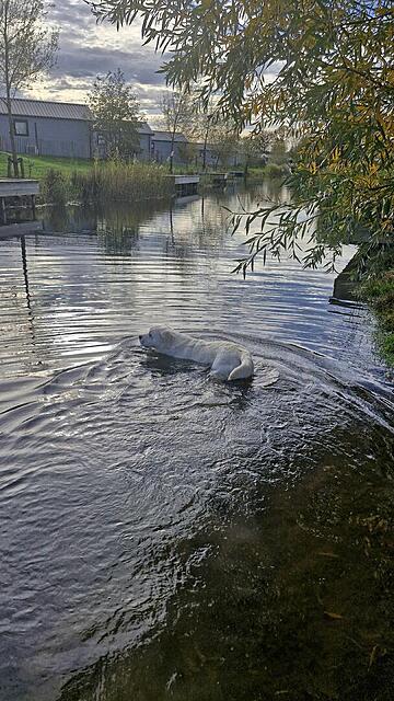 Klicke auf die Grafik für eine vergrößerte Ansicht

Name: 20251105_141822.jpg
Ansichten: 0
Größe: 158,3 KB
ID: 1194985