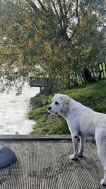 Klicke auf die Grafik für eine vergrößerte Ansicht

Name: 20251105_144425.jpg
Ansichten: 0
Größe: 190,5 KB
ID: 1194986