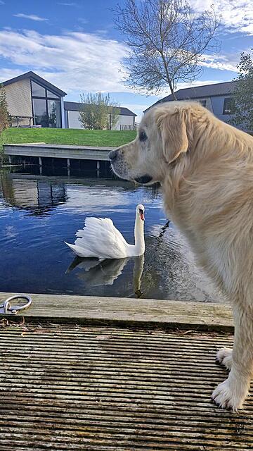 Klicke auf die Grafik für eine vergrößerte Ansicht

Name: 20251105_143657.jpg
Ansichten: 0
Größe: 133,1 KB
ID: 1194987