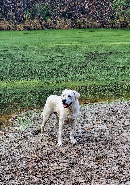 Klicke auf die Grafik für eine vergrößerte Ansicht

Name: 20251108_111240.jpg
Ansichten: 0
Größe: 280,2 KB
ID: 1194988