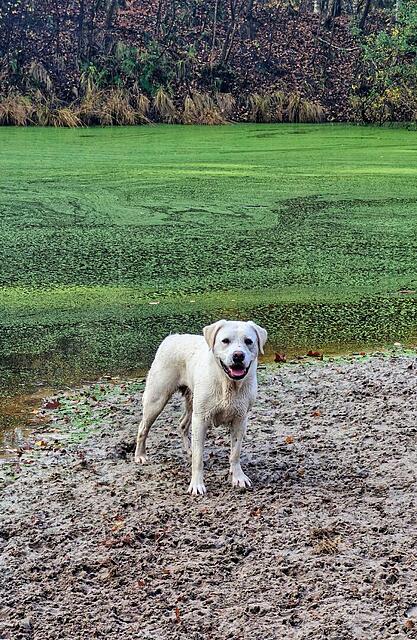 Klicke auf die Grafik für eine vergrößerte Ansicht

Name: 20251108_111244.jpg
Ansichten: 0
Größe: 250,5 KB
ID: 1194989