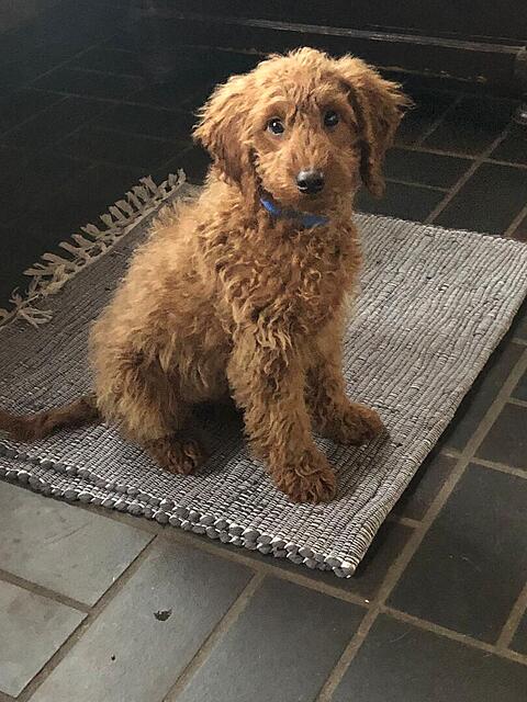 Klicke auf die Grafik für eine vergrößerte Ansicht

Name: PHOTO-2025-11-12-15-57-48.jpg
Ansichten: 0
Größe: 134,2 KB
ID: 1195152