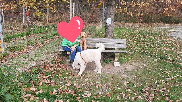 Klicke auf die Grafik für eine vergrößerte Ansicht  Name: 20251113_102557.jpg Ansichten: 0 Größe: 228,6 KB ID: 1195098