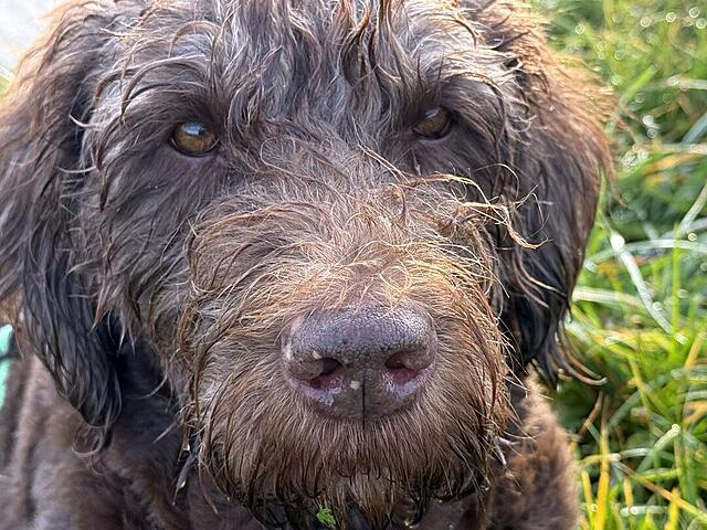 Klicke auf die Grafik für eine vergrößerte Ansicht  Name: IMG_9103.jpg Ansichten: 0 Größe: 166,6 KB ID: 1195101