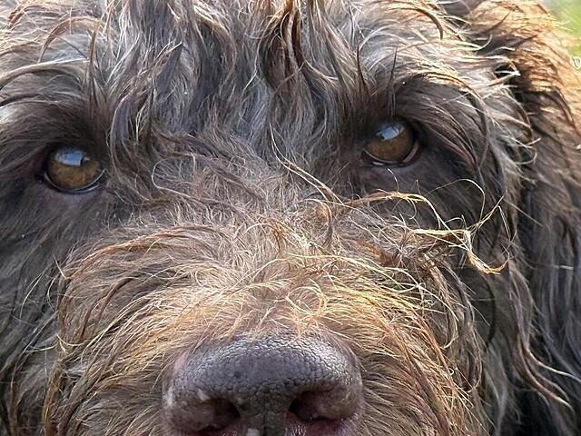 Klicke auf die Grafik für eine vergrößerte Ansicht  Name: IMG_9104.jpg Ansichten: 0 Größe: 175,8 KB ID: 1195806