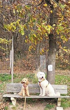 Klicke auf die Grafik für eine vergrößerte Ansicht  Name: W3.jpg Ansichten: 0 Größe: 56,8 KB ID: 1195109