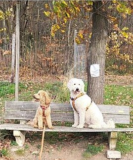 Klicke auf die Grafik für eine vergrößerte Ansicht  Name: W1.jpg Ansichten: 0 Größe: 51,2 KB ID: 1195110