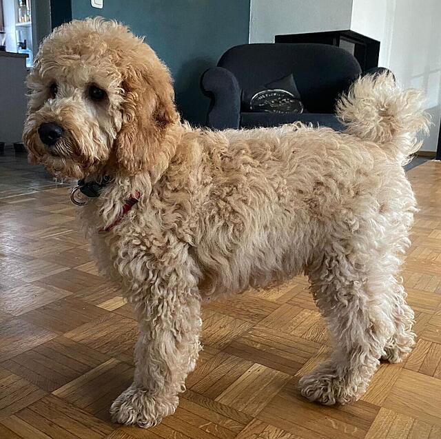 Klicke auf die Grafik für eine vergrößerte Ansicht  Name: Henty_TB.jpg Ansichten: 0 Größe: 173,7 KB ID: 1195112