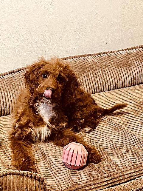 Klicke auf die Grafik für eine vergrößerte Ansicht  Name: IMG_9777.jpg Ansichten: 0 Größe: 197,4 KB ID: 1195272