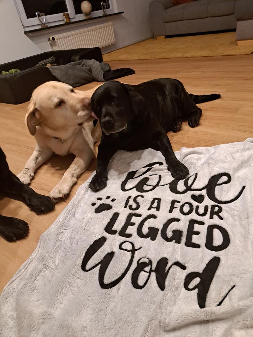 Klicke auf die Grafik für eine vergrößerte Ansicht  Name: 20251112_181247.jpg Ansichten: 0 Größe: 126,3 KB ID: 1195344