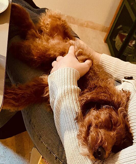 Klicke auf die Grafik für eine vergrößerte Ansicht  Name: a04431a5-1119-437e-afe1-04cdf29b20aa.jpg Ansichten: 0 Größe: 161,0 KB ID: 1195362