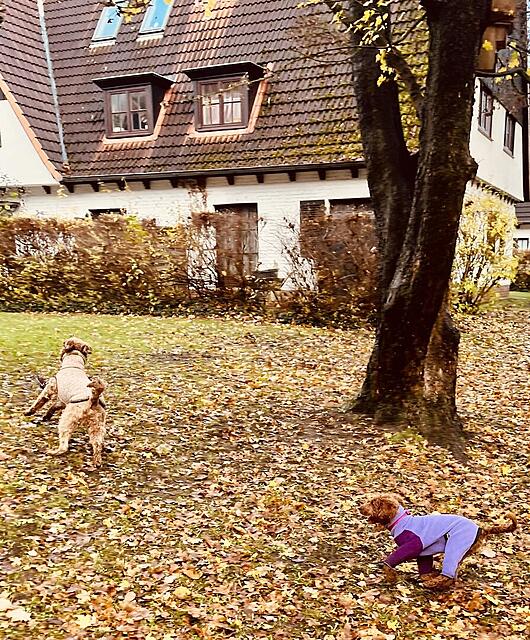 Klicke auf die Grafik für eine vergrößerte Ansicht  Name: IMG_9846.jpg Ansichten: 0 Größe: 286,4 KB ID: 1195364