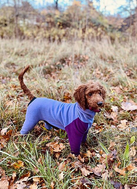 Klicke auf die Grafik für eine vergrößerte Ansicht  Name: IMG_9834.jpg Ansichten: 0 Größe: 184,0 KB ID: 1195366