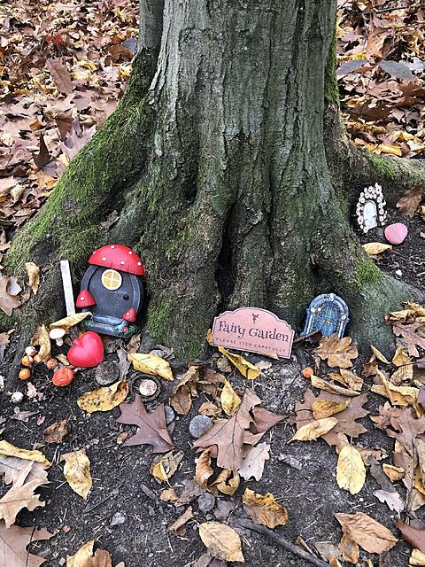 Klicke auf die Grafik für eine vergrößerte Ansicht  Name: IMG_8681.jpg Ansichten: 0 Größe: 274,1 KB ID: 1195457