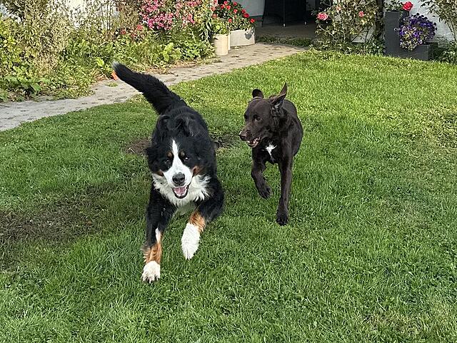 Klicke auf die Grafik für eine vergrößerte Ansicht  Name: IMG_6104.jpg Ansichten: 0 Größe: 289,2 KB ID: 1195578