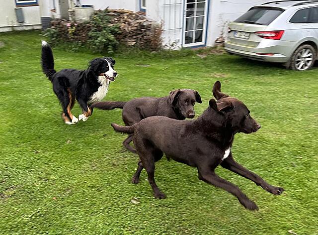 Klicke auf die Grafik für eine vergrößerte Ansicht  Name: IMG_7918.jpg Ansichten: 0 Größe: 158,0 KB ID: 1195579