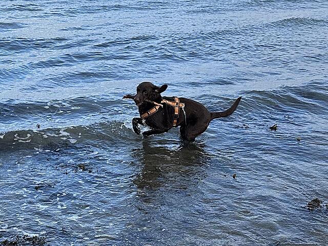 Klicke auf die Grafik für eine vergrößerte Ansicht  Name: IMG_8272.jpg Ansichten: 0 Größe: 235,0 KB ID: 1195586