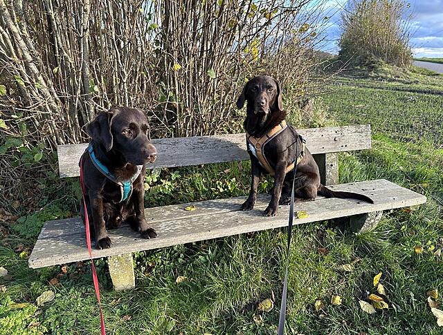 Klicke auf die Grafik für eine vergrößerte Ansicht  Name: IMG_8768.jpg Ansichten: 0 Größe: 316,0 KB ID: 1195588