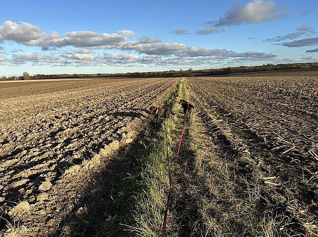 Klicke auf die Grafik für eine vergrößerte Ansicht  Name: IMG_8779.jpg Ansichten: 0 Größe: 267,4 KB ID: 1195589