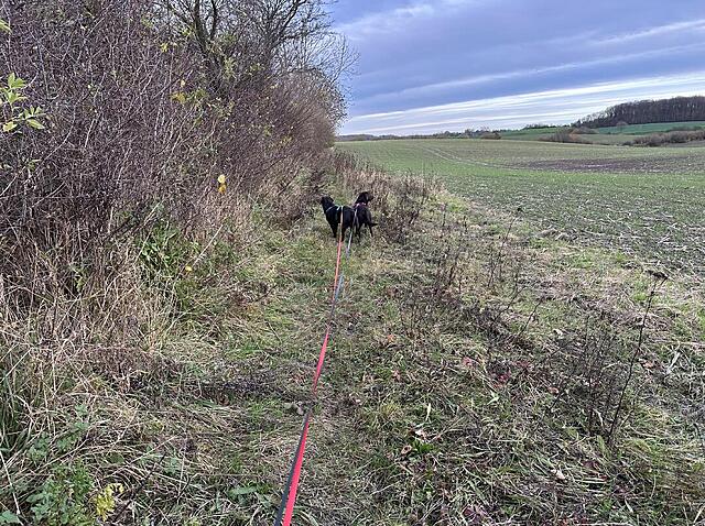 Klicke auf die Grafik für eine vergrößerte Ansicht  Name: IMG_8821.jpg Ansichten: 0 Größe: 311,8 KB ID: 1195593